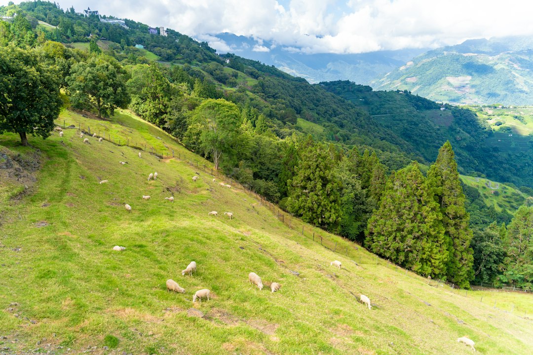 Taiwan