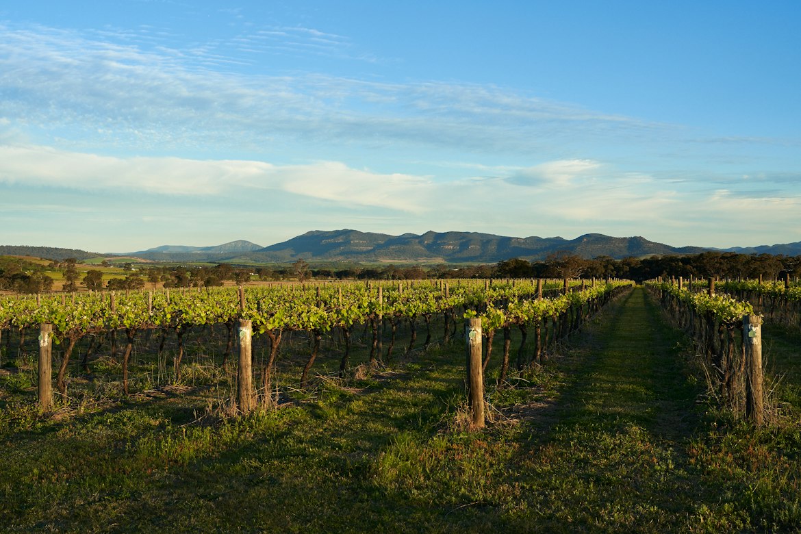 Day 04 – Yarra Valley Wine Tour