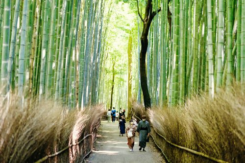 Day 08 – Kyoto Cultural Highlights